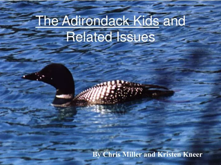 the adirondack kids and related issues