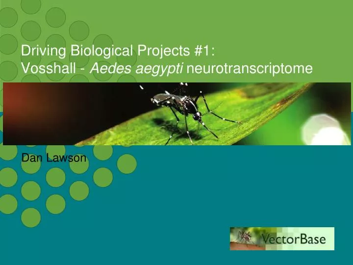 driving biological projects 1 vosshall aedes aegypti neurotranscriptome
