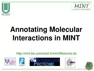 Annotating Molecular Interactions in MINT