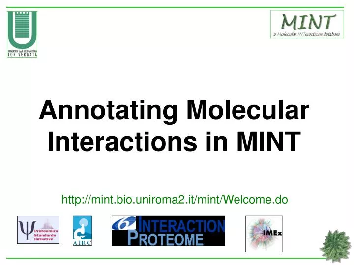 annotating molecular interactions in mint