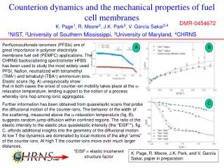 Counterion dynamics and the mechanical properties of fuel cell membranes