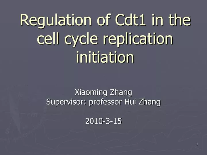 regulation of cdt1 in the cell cycle replication initiation