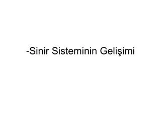 sinir sisteminin geli imi