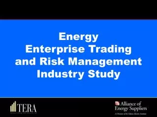 Energy Enterprise Trading and Risk Management Industry Study