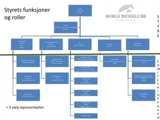 styrets funksjoner og roller