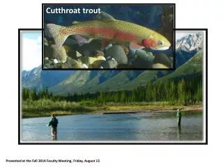 Cutthroat trout