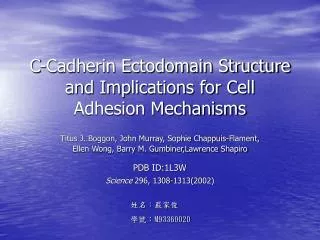 C-Cadherin Ectodomain Structure and Implications for Cell Adhesion Mechanisms