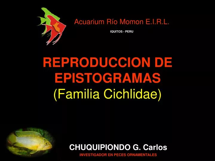 reproduccion de epistogramas familia cichlidae