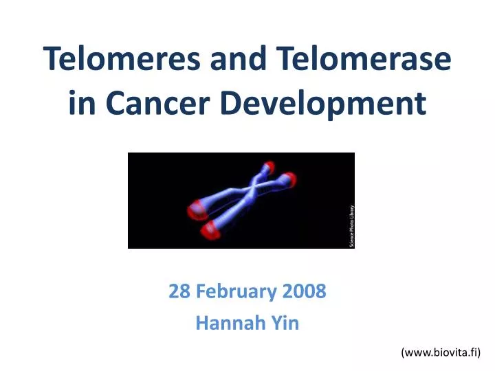 telomeres and telomerase in cancer development
