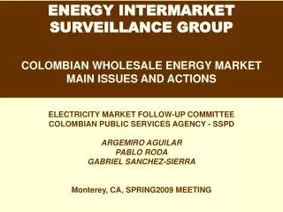 ENERGY INTERMARKET SURVEILLANCE GROUP COLOMBIAN WHOLESALE ENERGY MARKET MAIN ISSUES AND ACTIONS