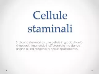 cellule staminali