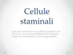 Cellule staminali - slide 1