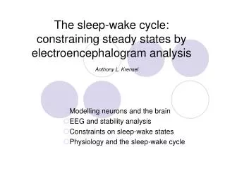 The sleep-wake cycle: constraining steady states by electroencephalogram analysis