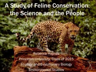 A Study of Feline Conservation: the Science and the People