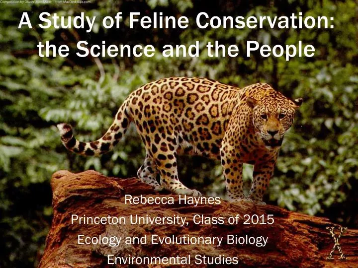 a study of feline conservation the science and the people