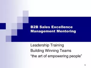 B2B Sales Excellence Management Mentoring