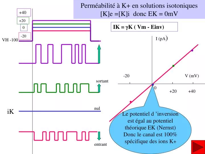 perm abilit k en solutions isotoniques k e k i donc ek 0mv