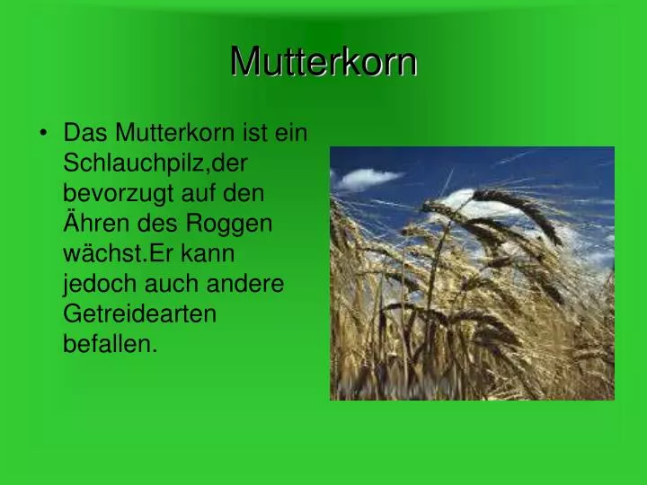 mutterkorn