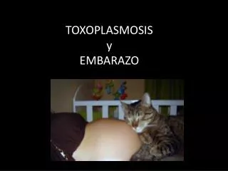 toxoplasmosis y embarazo
