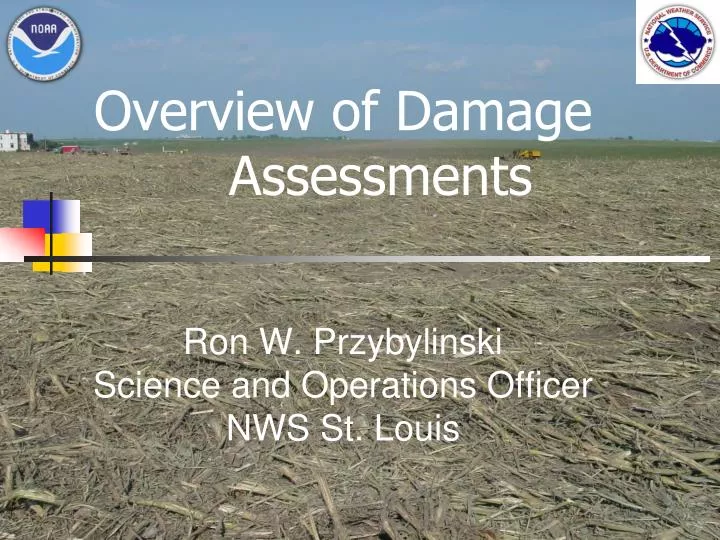 overview of damage assessments