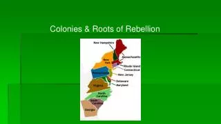 Colonies &amp; Roots of Rebellion
