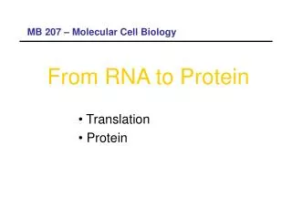 From RNA to Protein