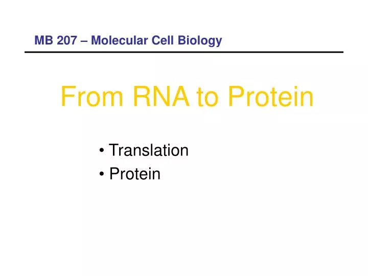 from rna to protein