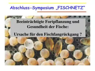 Abschluss-Symposium „FISCHNETZ“