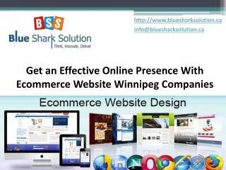 effective online presence with ecommerce website Winnipeg