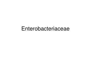 Enterobacteriaceae