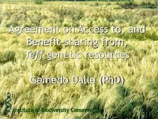 Agreement on Access to, and Benefit-sharing from, Teff genetic resources Gemedo Dalle (PhD)