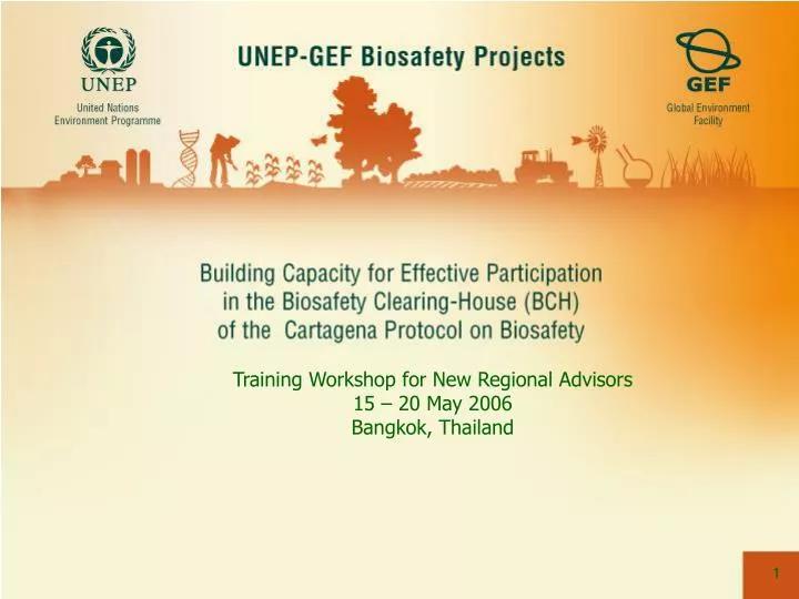 training workshop for new regional advisors 15 20 may 2006 bangkok thailand