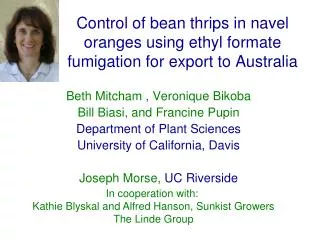 Control of bean thrips in navel oranges using ethyl formate fumigation for export to Australia