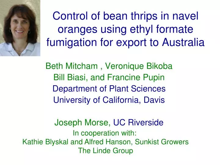 control of bean thrips in navel oranges using ethyl formate fumigation for export to australia
