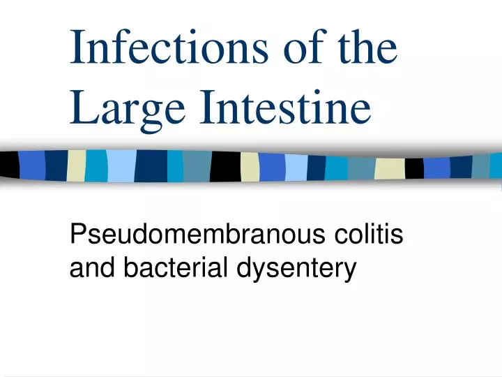 infections of the large intestine