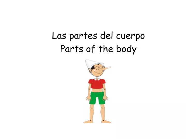 las partes del cuerpo parts of the body