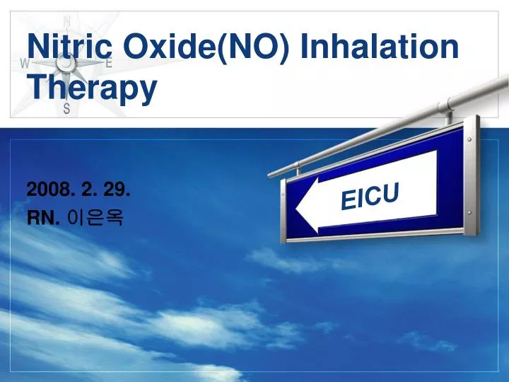 nitric oxide no inhalation therapy