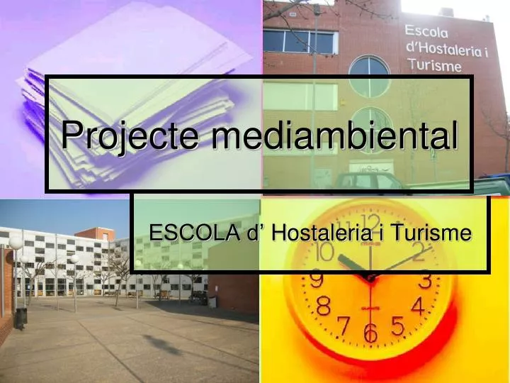 projecte mediambiental