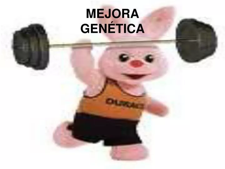 mejora gen tica