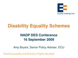 Disability Equality Schemes