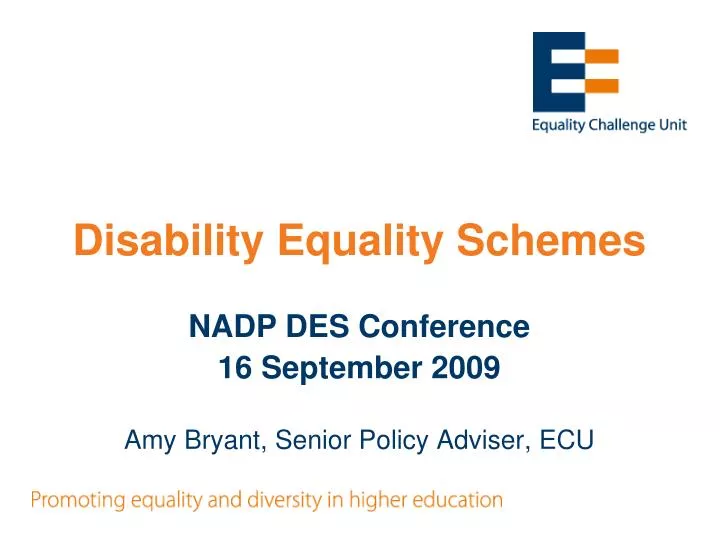 disability equality schemes