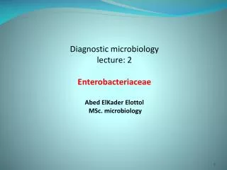 Diagnostic microbiology lecture: 2 Enterobacteriaceae Abed ElKader Elottol MSc . microbiology