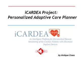 iCARDEA Project: Personalized Adaptive Care Planner