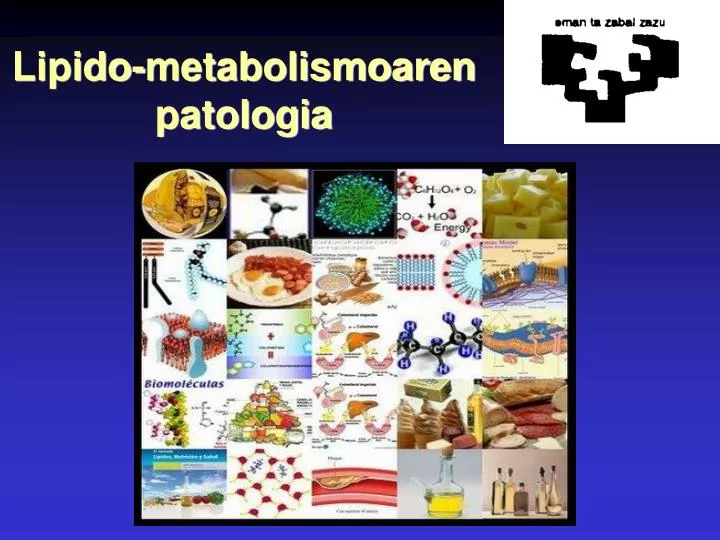 lipido metabolismoaren patologia