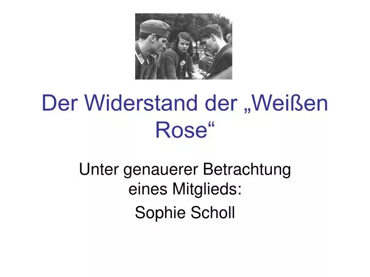 der widerstand der wei en rose