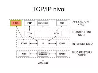 tcp ip nivoi