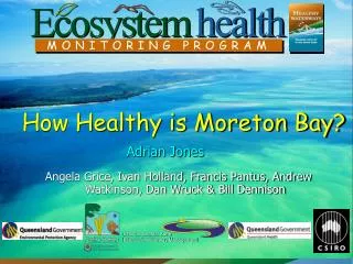 How Healthy is Moreton Bay?