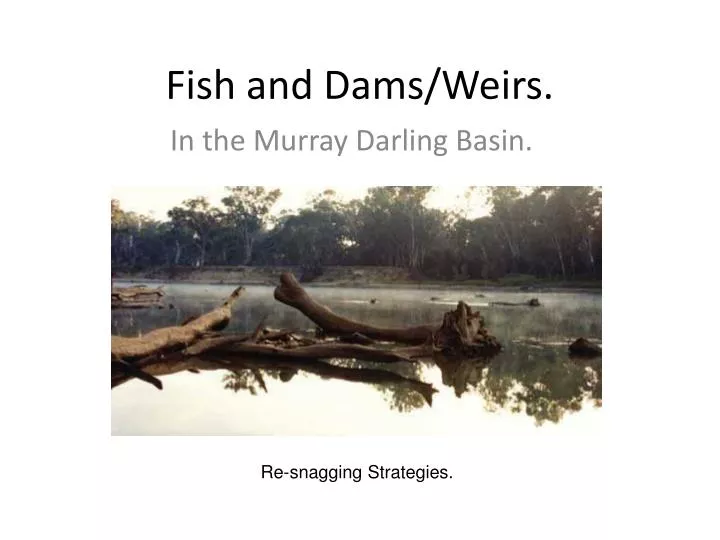 fish and dams weirs