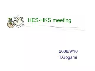 hes hks meeting