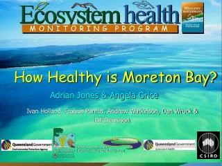 How Healthy is Moreton Bay?